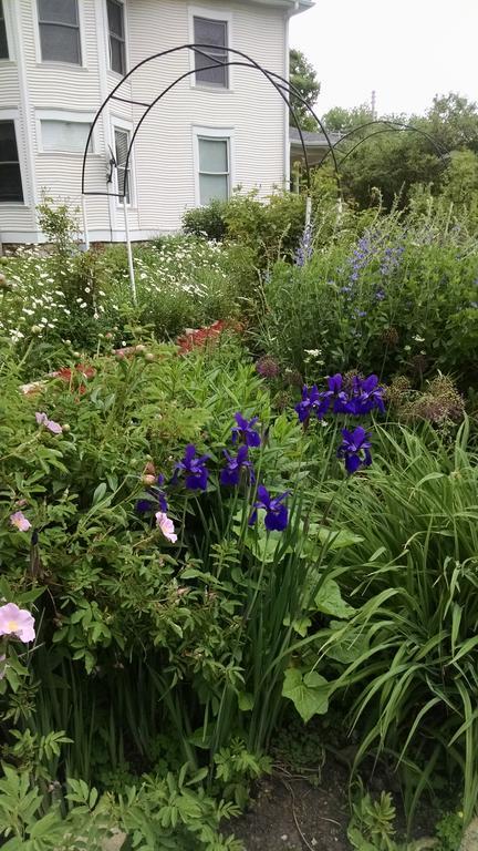 Covington Manor B&B Cambridge 외부 사진