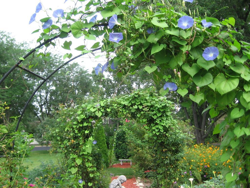Covington Manor B&B Cambridge 외부 사진